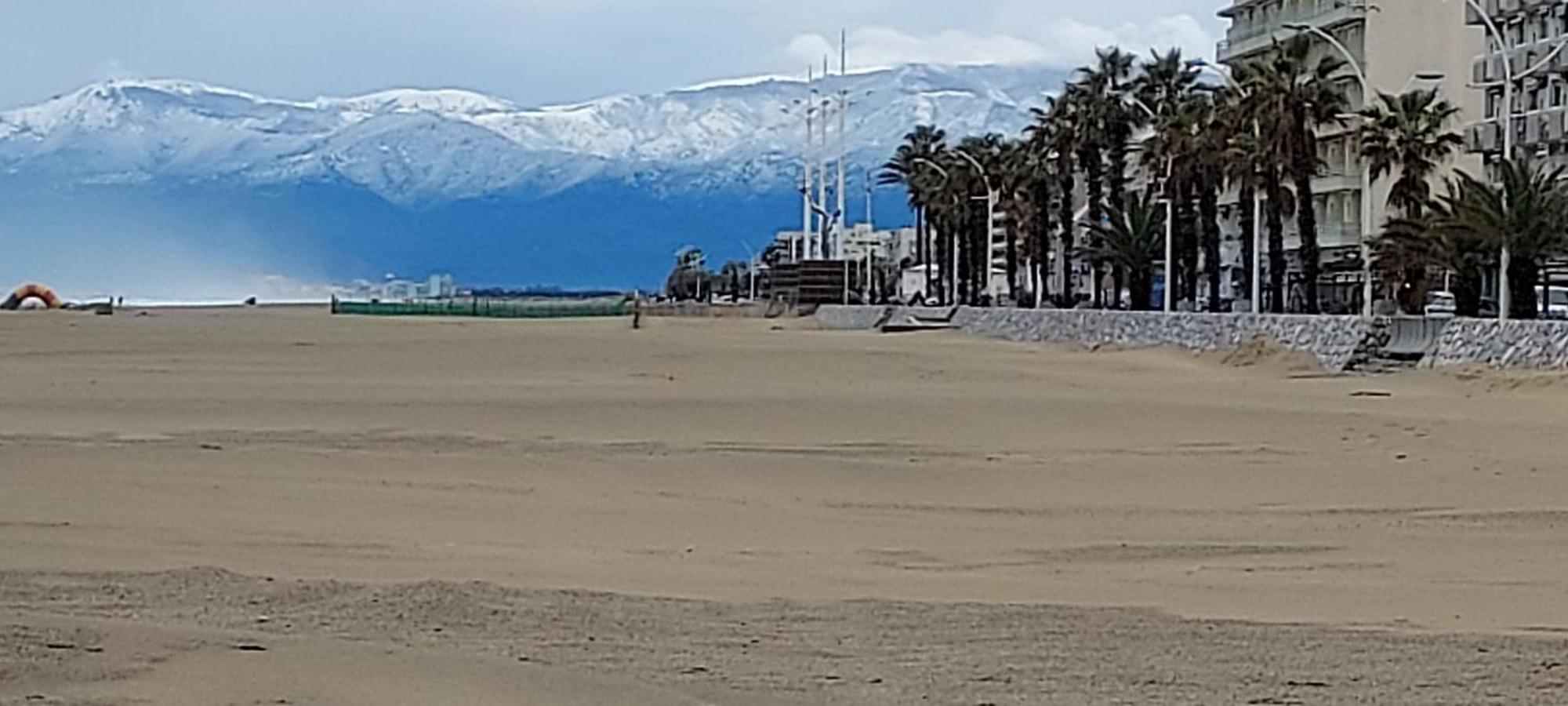 Chambres D'Hotes Un Ete Sans Fin A 50 M De La Plage A Canet Plage Ngoại thất bức ảnh